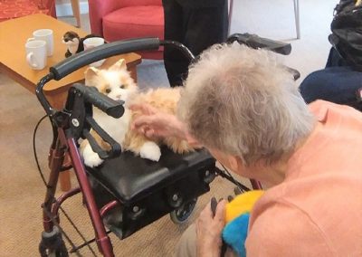Coldean Dementia Café