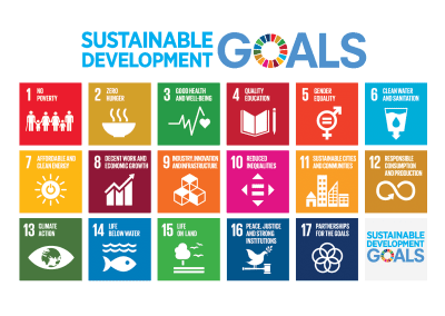 What are the Sustainable Development Goals and what do they mean for TDC?