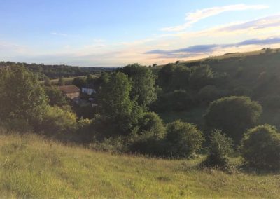 Moulsecoomb & Bevendean Open Spaces Survey